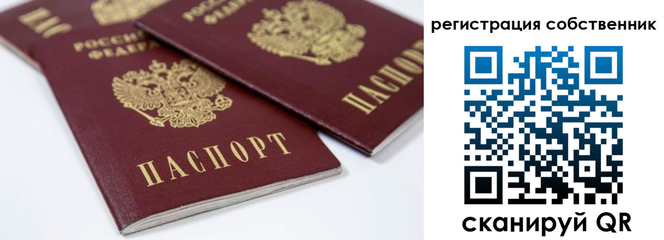прописка для школы в Порхове